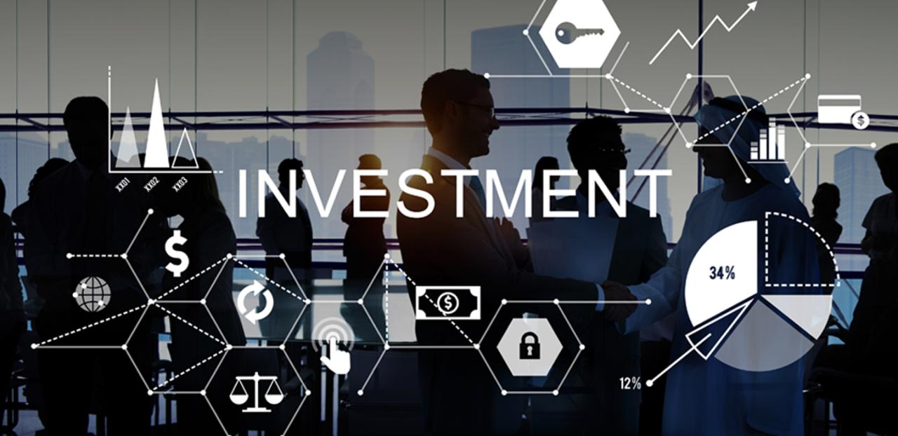 Investment – USP FinPro